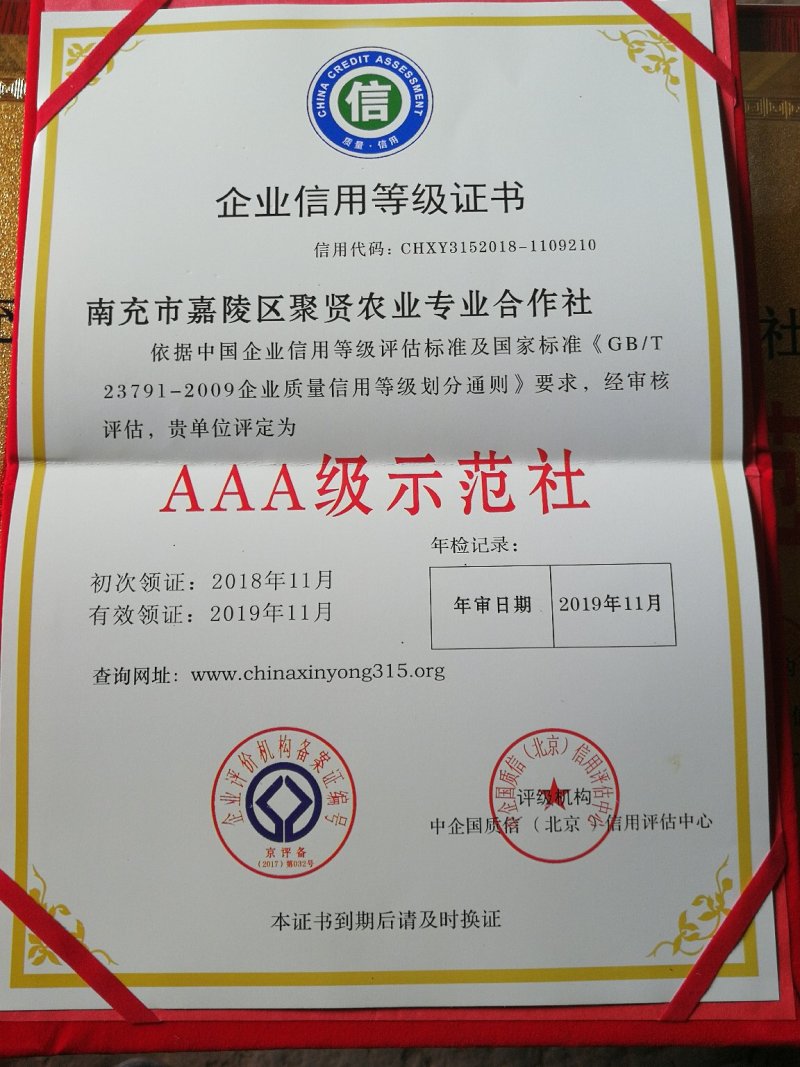 苹果苦瓜，可以生吃的水果苦瓜，招合作伙伴，需要的联系我