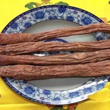 野生瓜州精品锁阳，酒泉产地发货