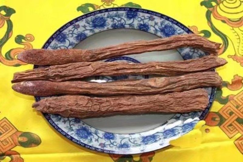野生瓜州精品锁阳，酒泉产地发货