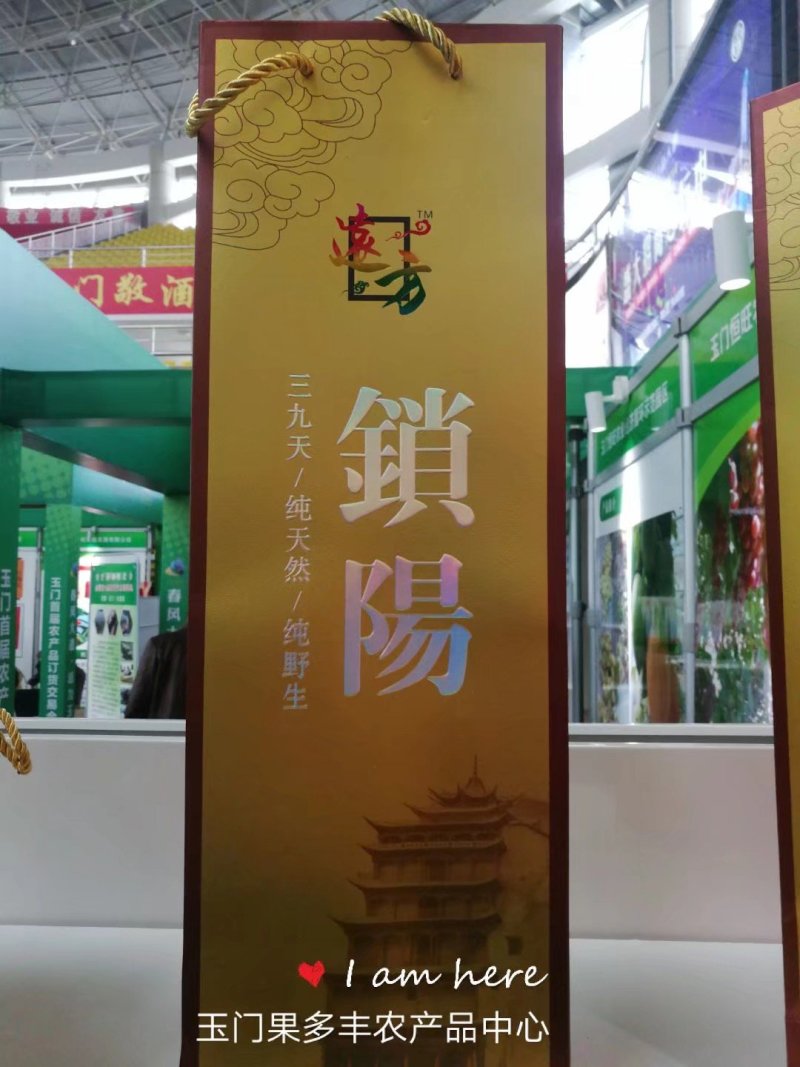 野生瓜州精品锁阳，酒泉产地发货