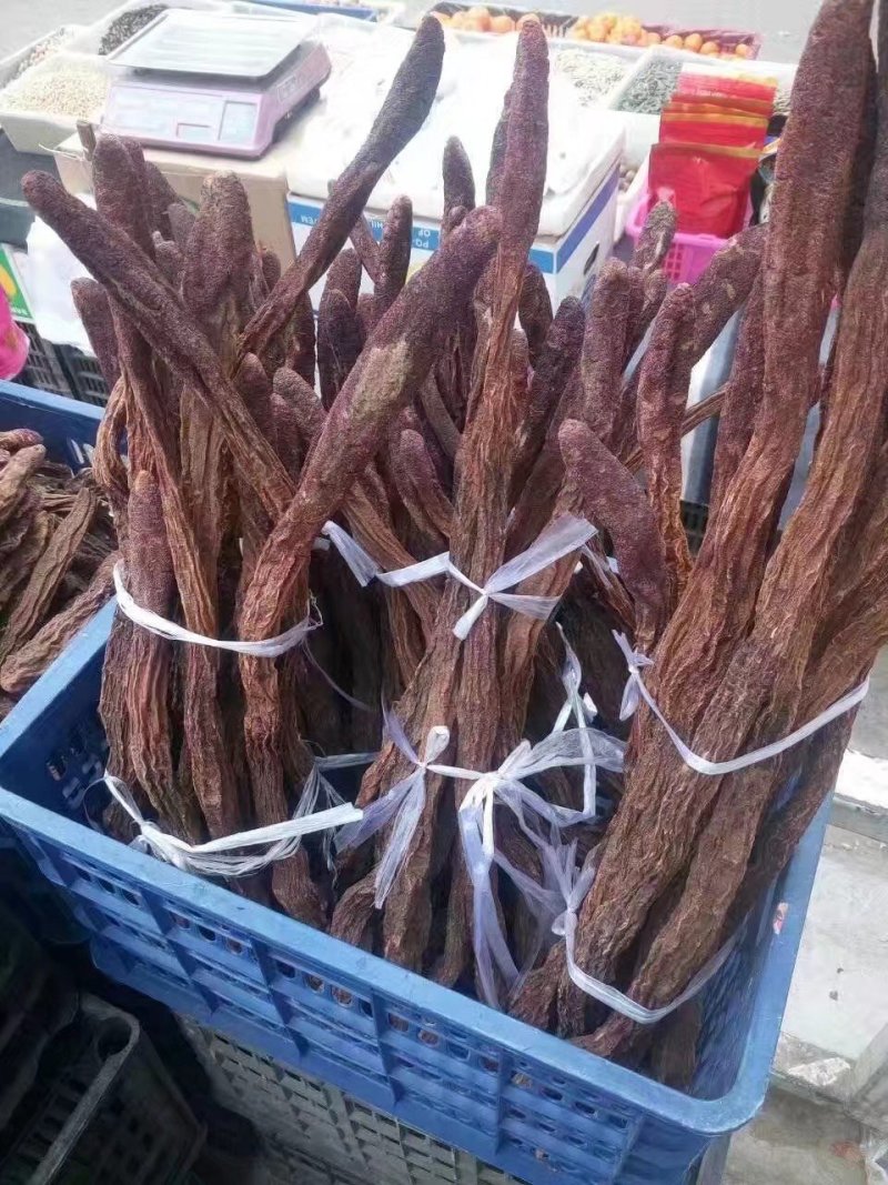 野生瓜州精品锁阳，酒泉产地发货