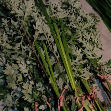 端午【货源大当天发货】菖蒲艾草欢迎在线咨询！