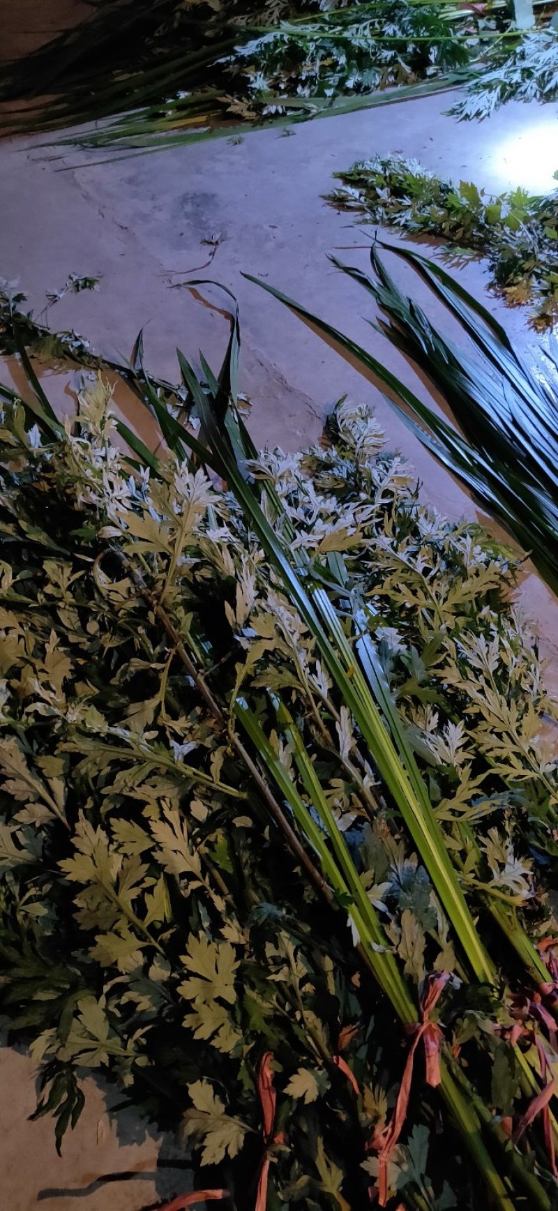 端午【货源大当天发货】菖蒲艾草欢迎在线咨询！
