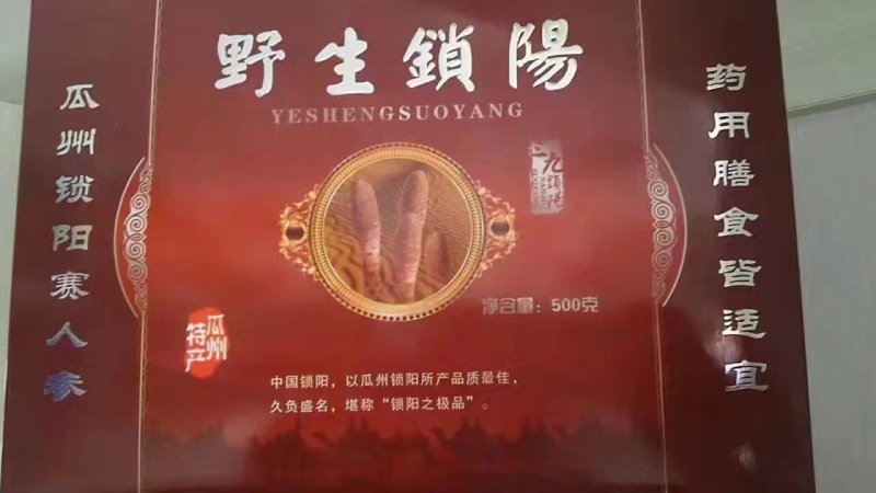 野生瓜州精品锁阳，酒泉产地发货
