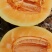 哈密瓜