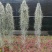 空气凤梨无土植物花卉老人须小精灵办公室内客厅挂吊绿植净化