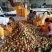 桃【春雪突围红不软沙红桃,】口感脆甜果园直供代发全国