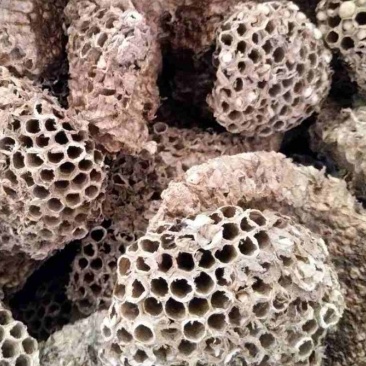 蜂房天然蜂房马蜂窝无虫卵优质净货批发零售野生蜂房