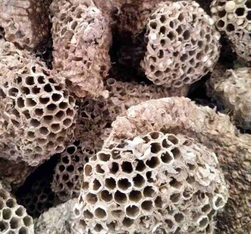 蜂房天然蜂房马蜂窝无虫卵优质净货批发零售野生蜂房