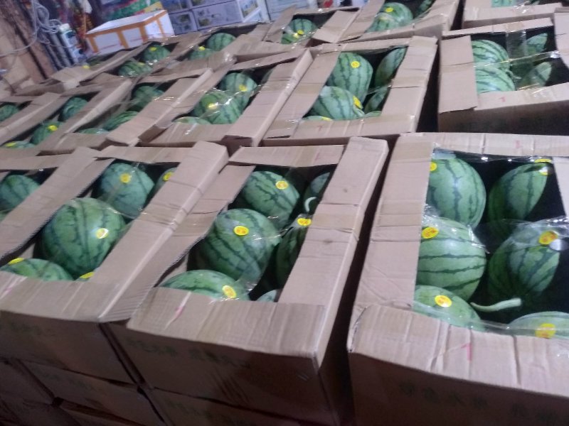 蜜童西瓜无籽皮薄