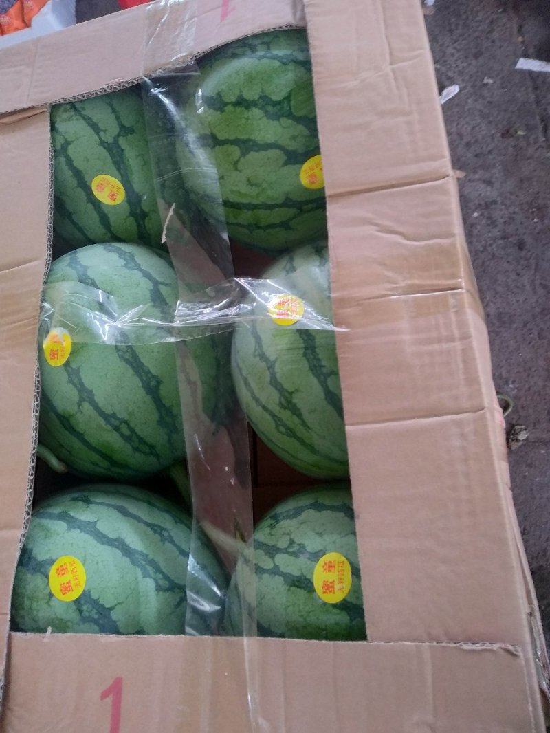 蜜童西瓜无籽皮薄