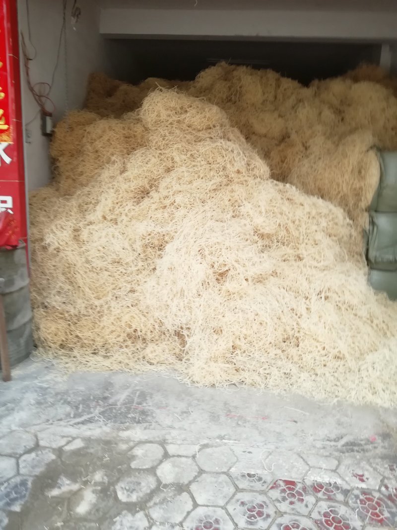 灯心草全国最大万亩灯心草基地.