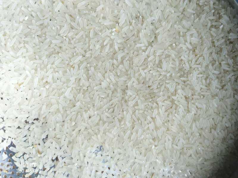 长期大量供应精品黄花粘稻谷，价格合理，质量好