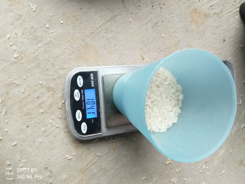 长期大量供应精品黄花粘稻谷，价格合理，质量好
