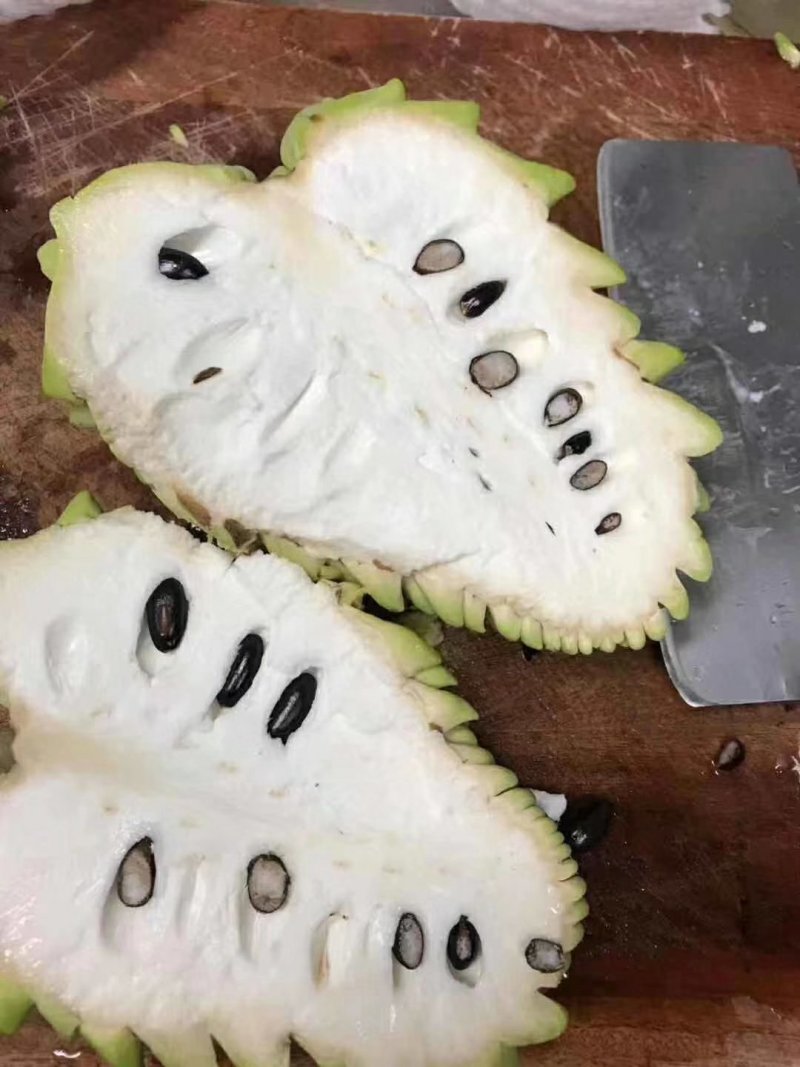 榴莲释迦苗