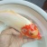 锦鲤鱼