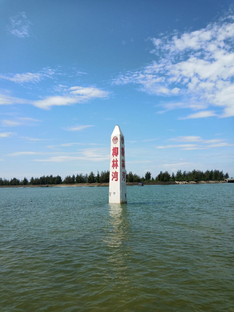 产地直发海南海边青椰，选椰子还是海边的椰子甜