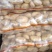 荷兰十五土豆2两以上通货大量上市产地直销