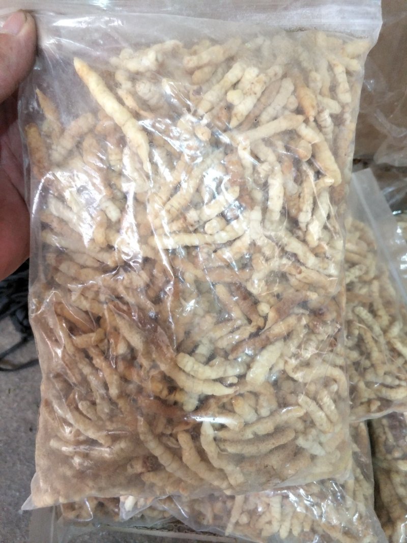 金虫草地虫草中药材批发各种规格