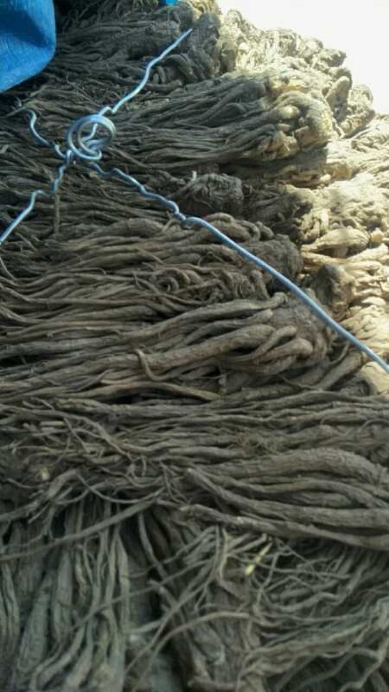 无硫农家大当归正在热销中，自家种植一手货源，能保质保量，