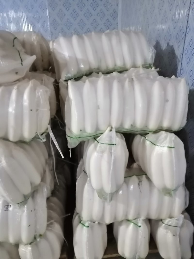 白萝卜
