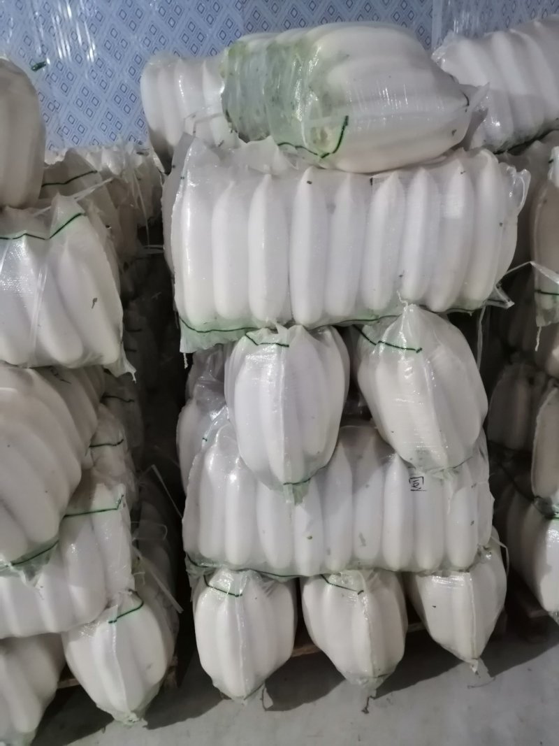 白萝卜