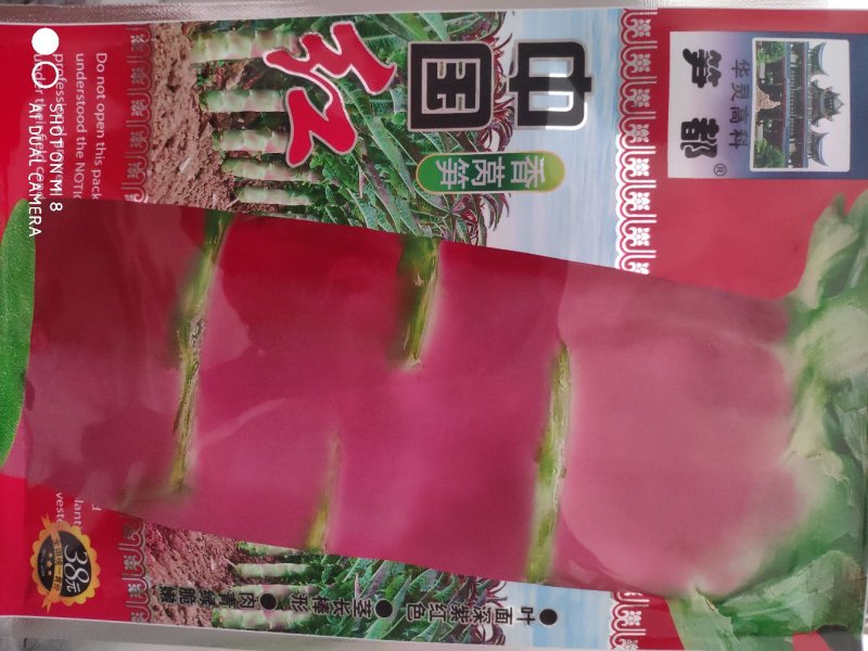 中国红莴笋种子长尖叶茎长棒形略带红色斑块肉翠绿色清香味浓