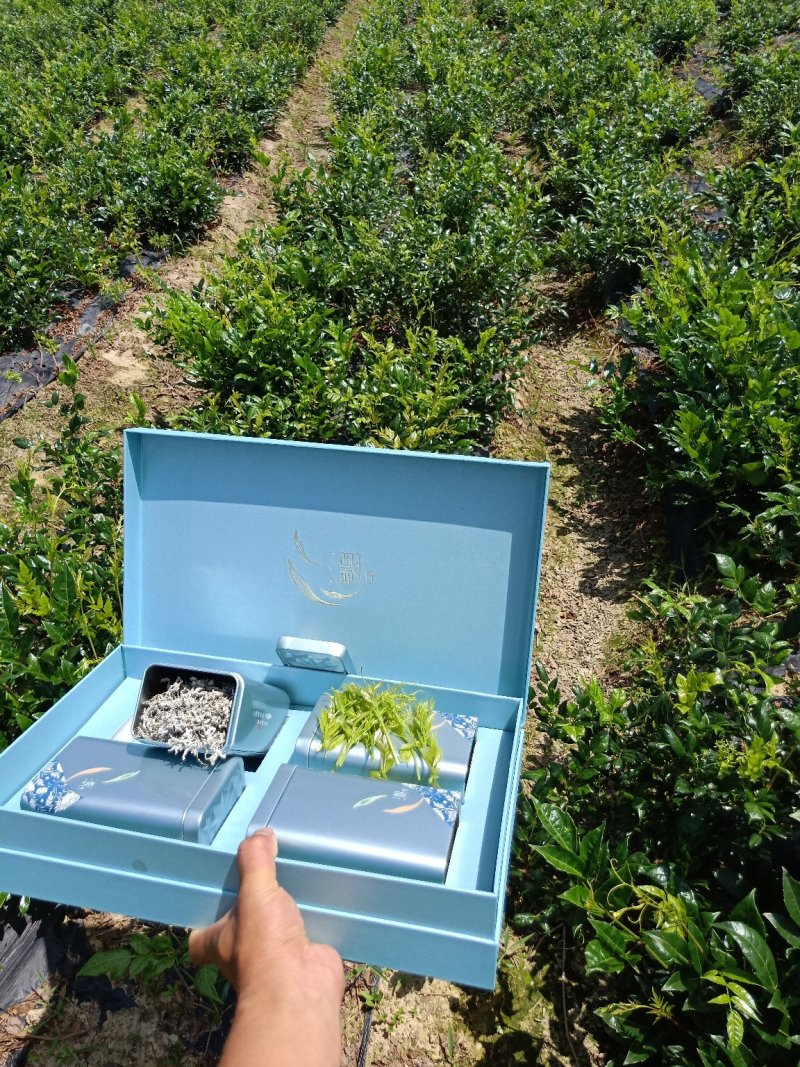 特级纯手工莓茶