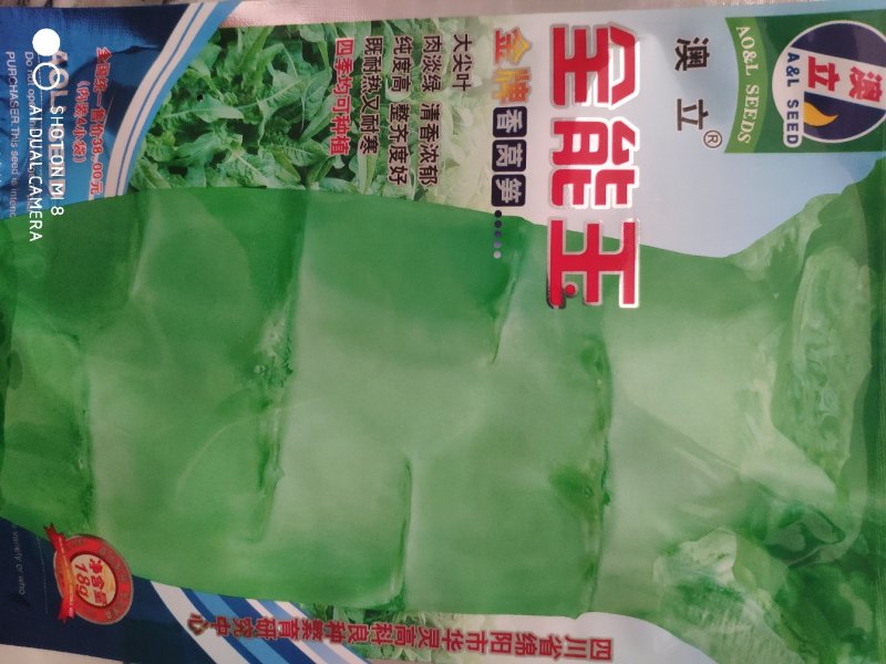 全能玉莴笋种子大尖叶肉淡绿纯度高耐热耐寒四季均可种植