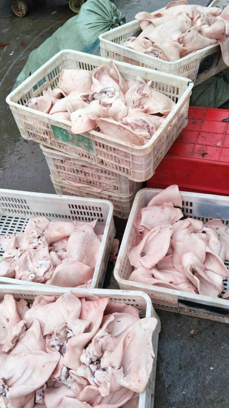 猪耳50件起发货无水干货