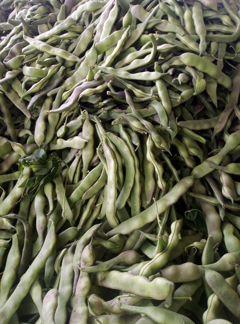 油豆