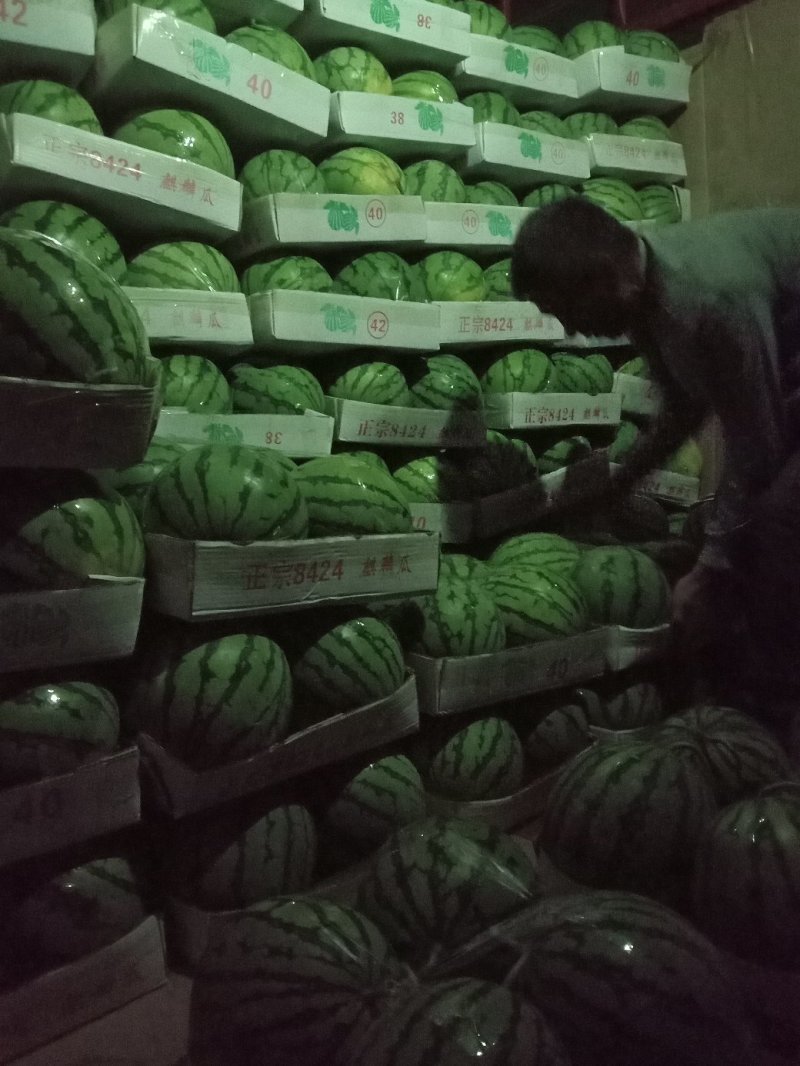 岳阳市麒麟西瓜7斤打底一级瓜头茬，专业打包，诚信。
