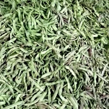 东北紫花架油豆角质量优异物美价廉