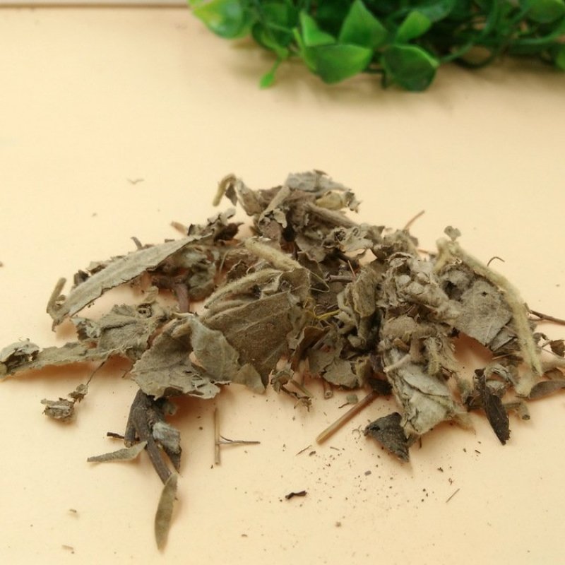 寻骨风供应上千种中药材