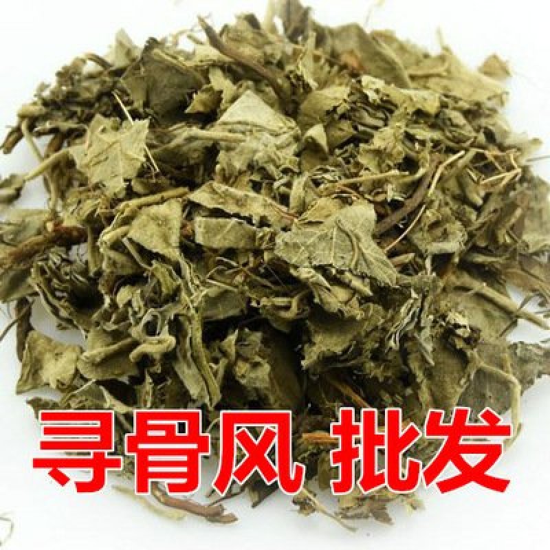 寻骨风供应上千种中药材