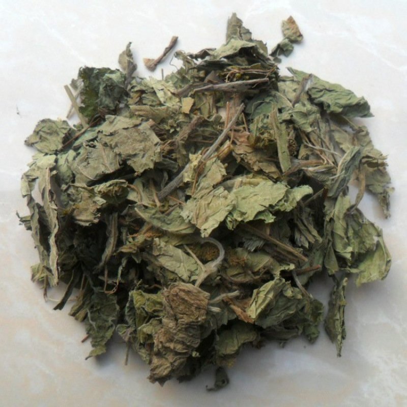 地胆草供应上千种中药材