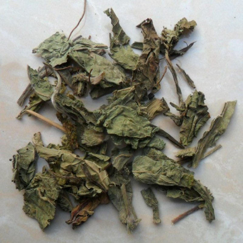 地胆草供应上千种中药材