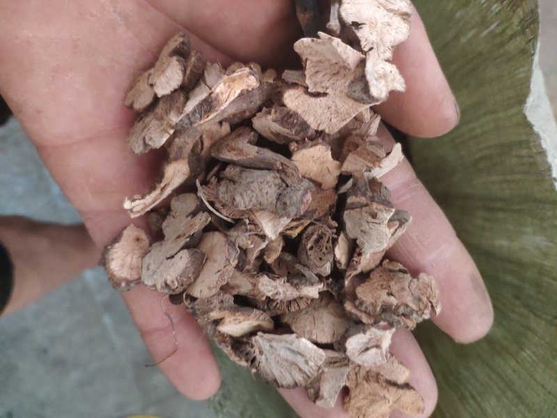 金荞麦货好量大代抓各种药方不满意可以退换货