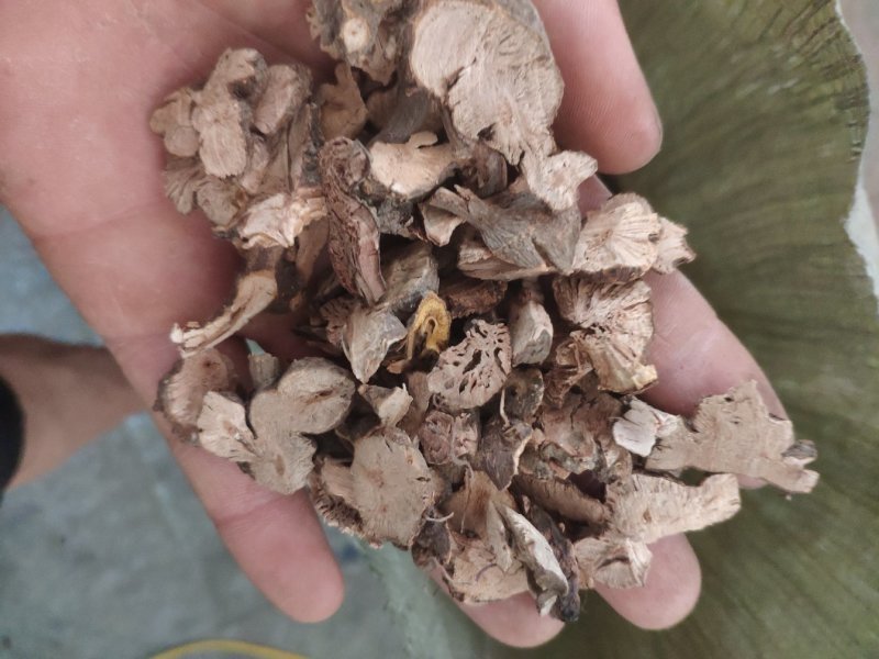 金荞麦货好量大代抓各种药方不满意可以退换货