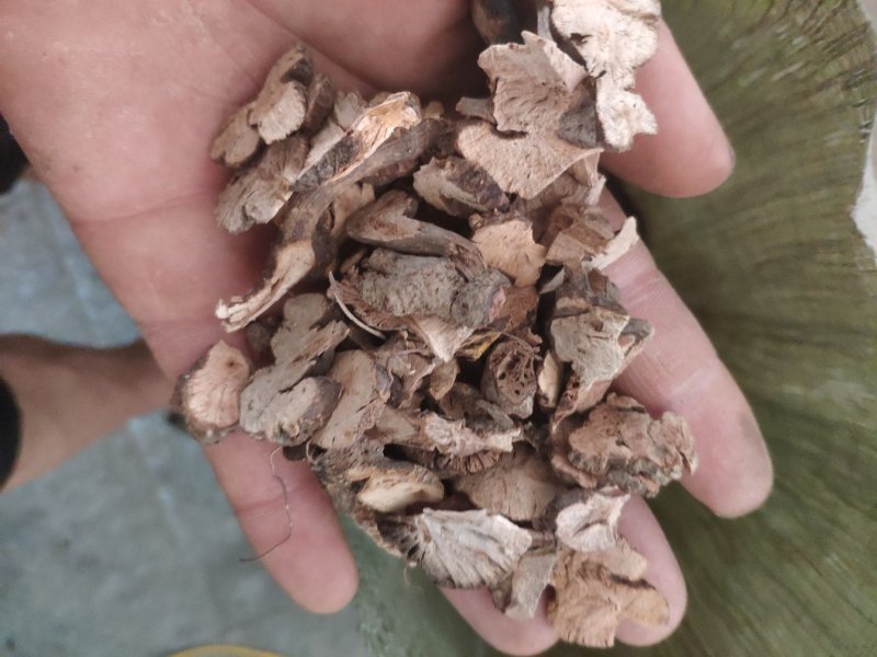 金荞麦货好量大代抓各种药方不满意可以退换货