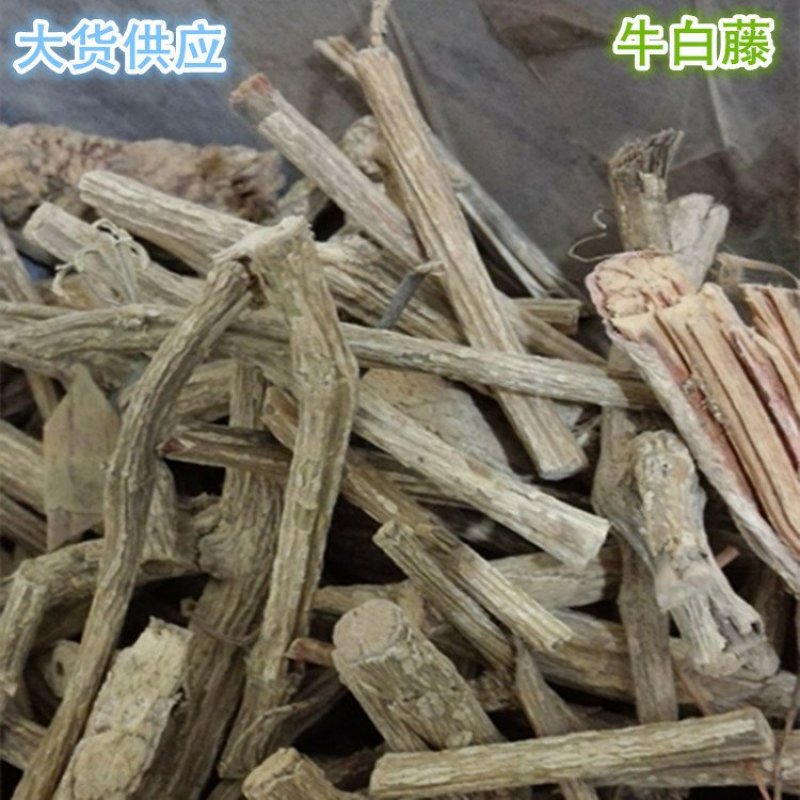 牛白藤供应上千种中药材