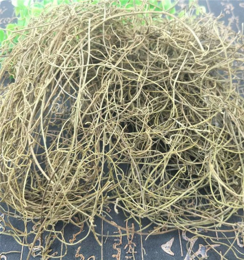兔丝子藤供应上千种中药材