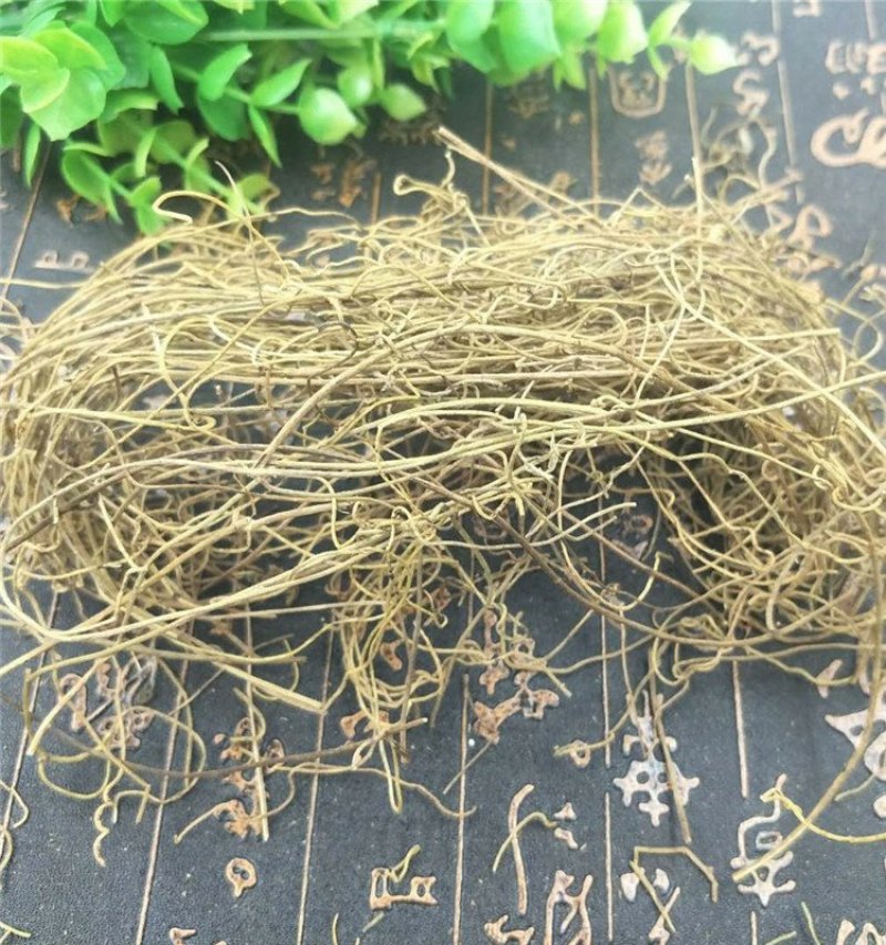 兔丝子藤供应上千种中药材