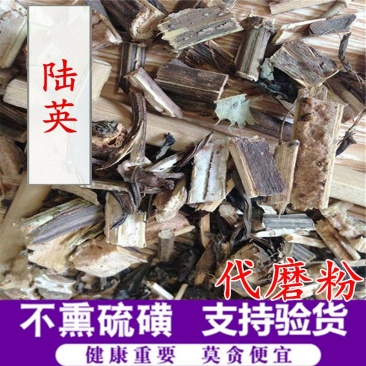 陆英供应上千种中药材