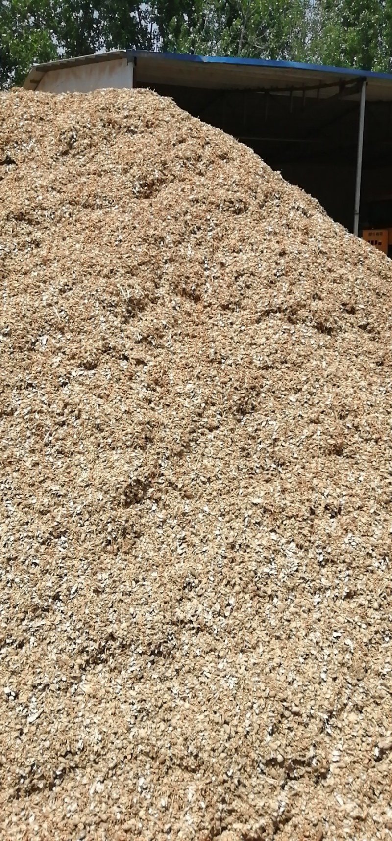 新花生壳，颜色漂亮，适合种植，肥料，菌类种植等大量供应。