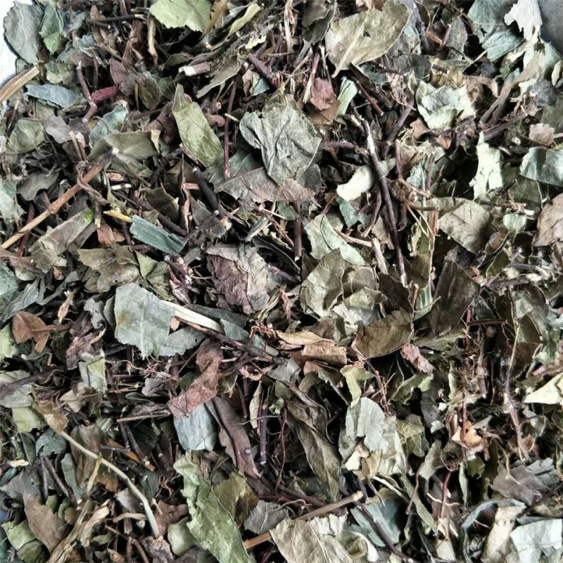 络石藤供应上千种中药材