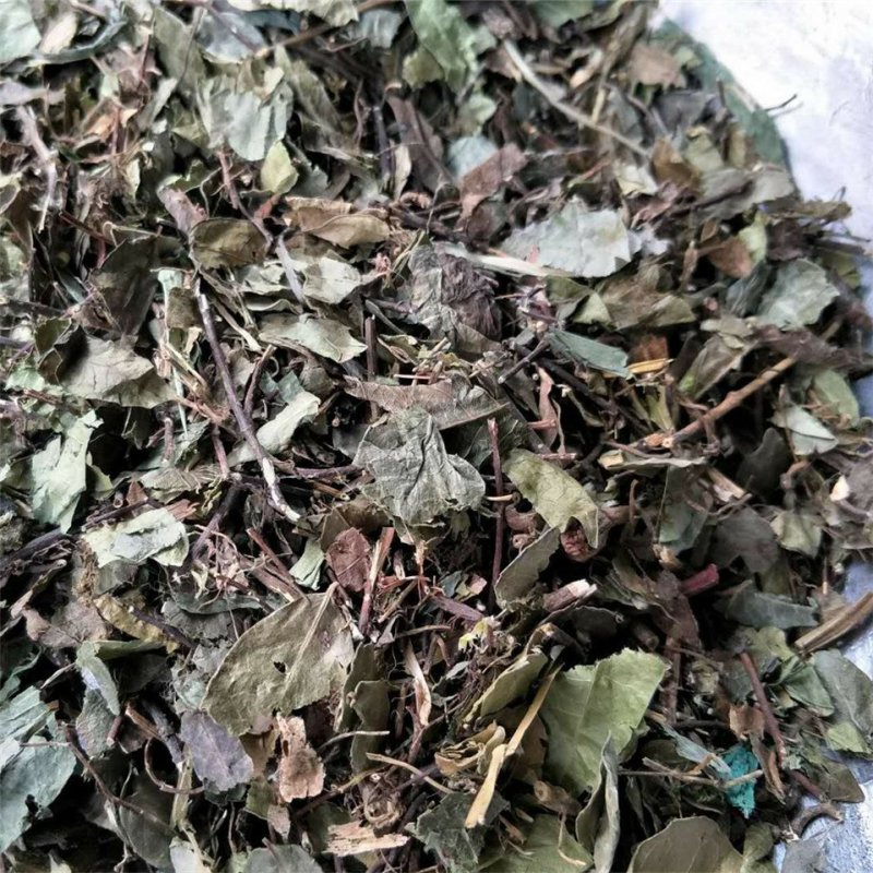 络石藤供应上千种中药材