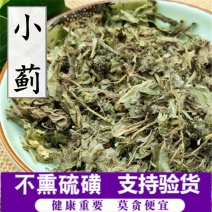 小蓟供应上千种中药材