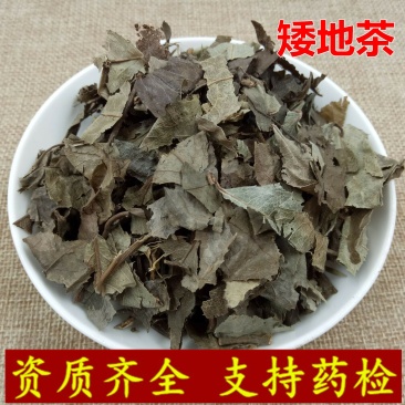 矮地茶平地木供应上千种中药材