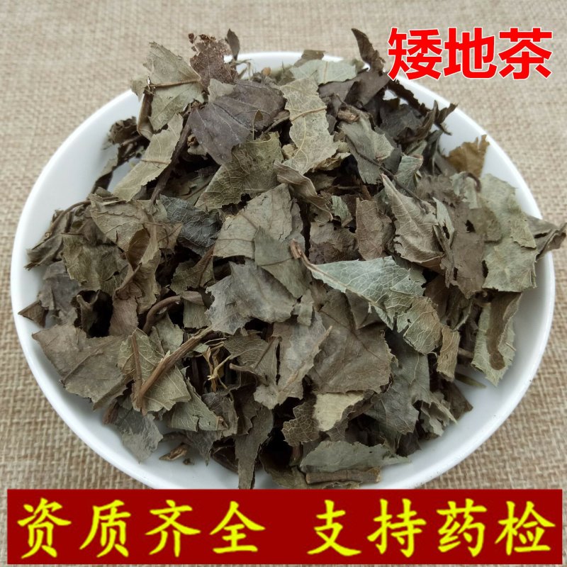 矮地茶平地木供应上千种中药材